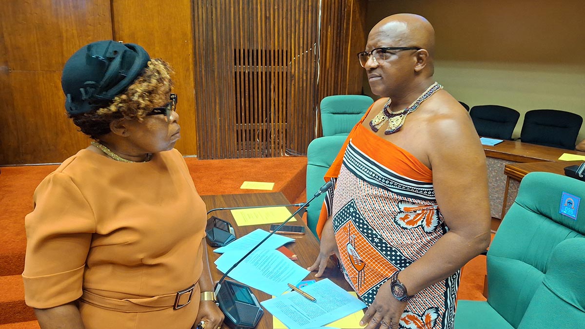 Minister for Tourism and Environmental Affairs Jane Simelane chatting with Finance Committee Chairperson Marwick Khumalo.